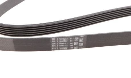 Фото 2 - Ремінь приводний Continental 6PK2115