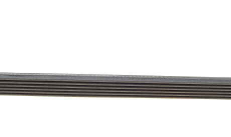 Фото 2 - Ремінь приводний Continental 6PK2155