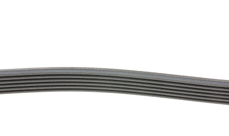 Фото 2 - Ремінь приводний Continental 6PK2175