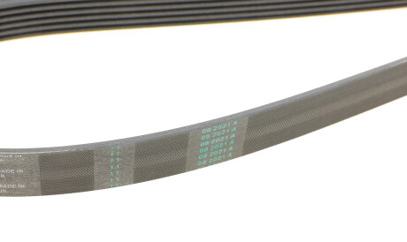 Фото 3 - Ремінь приводний Continental 6PK2445