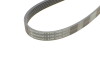 Поліклиновий ремінь MERCEDES 124 (A124), 124 (C124), 124 T-MODEL (S124), 124 (W124), CLS (C219), E (A124), E (C124), E T-MODEL (S124), E T-MODEL (S211), E (W124) 2.5-5.5 01.88-03.22 - Continental 6PK2445 (фото 4)