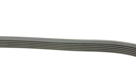 Фото 2 - Ремень приводной Continental 6PK2535
