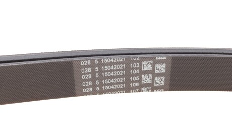 Фото 3 - Ремінь приводний Continental 6PK2625