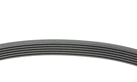 Фото 2 - Ремінь приводний Continental 6PK701 ELAST (6PK701ELAST)