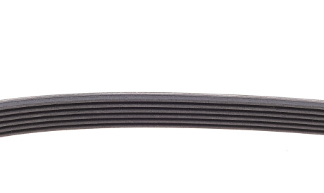 Фото 3 - Ремінь приводний Continental 6PK737