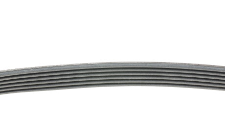 Фото 2 - Ремінь приводний Continental 6PK745