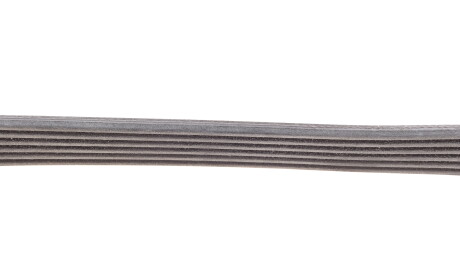 Фото 4 - Ремінь приводний Continental 6PK799ELAST