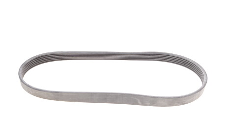 Фото 5 - Ремінь приводний Continental 6PK799ELAST