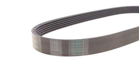 Фото 2 - Ремень приводной Continental 6PK800