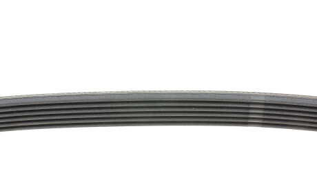 Фото 2 - Ремінь приводний Continental 6PK836