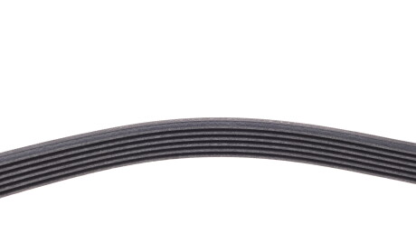 Фото 4 - Ремінь приводний Continental 6PK842 ELAST (6PK842ELAST)