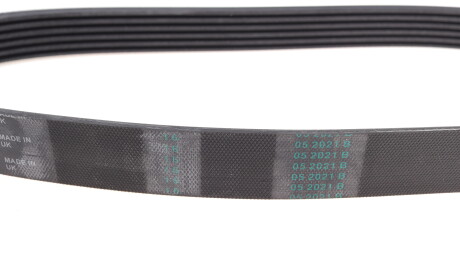 Фото 2 - Ремінь приводний Continental 6PK844