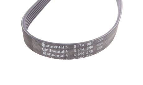Фото 2 - Ремінь приводний Continental 6PK858