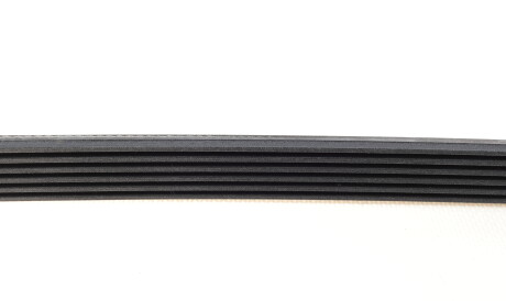 Фото 3 - Ремінь приводний Continental 6PK862