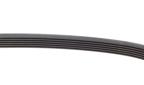 Фото 3 - Ремінь приводний Continental 6PK880