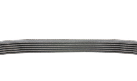 Фото 2 - Ремінь приводний Continental 6PK894