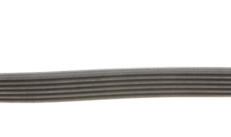 Фото 3 - Ремінь приводний Continental 6PK922EXTRA