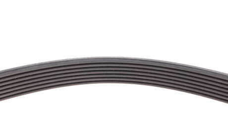 Фото 3 - Ремень приводной Continental 7DPK2950