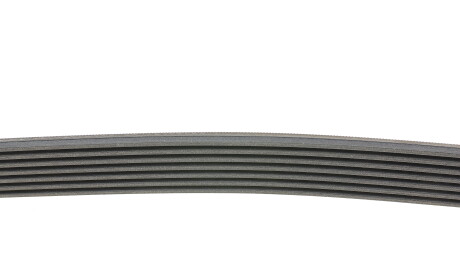 Фото 2 - Ремінь приводний Continental 7PK1035