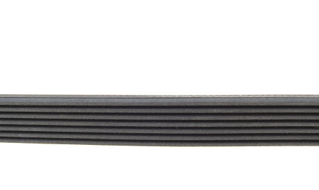 Фото 2 - Ремінь приводний Continental 7PK1076