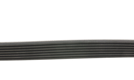 Фото 2 - Ремінь приводний Continental 7PK1093