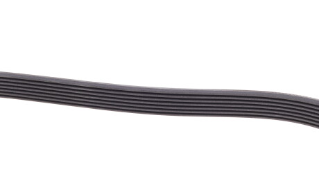 Фото 3 - Ремень приводной Continental 7PK1113