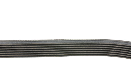 Фото 2 - Ремінь приводний Continental 7PK1125