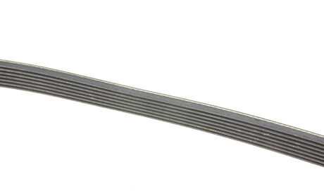 Фото 3 - Ремінь приводний Continental 7PK1377