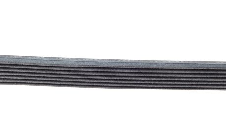 Фото 3 - Ремінь приводний Continental 7PK1570