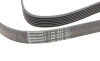 Ремень генератора BMW 5 (E39/F10)/7 (E38) 3.5i/4.0i 96-03 - ((11281432724, 11287636369, 11287636377, 11287843246, 31110RL0G01)) Continental 7PK1635 (фото 4)