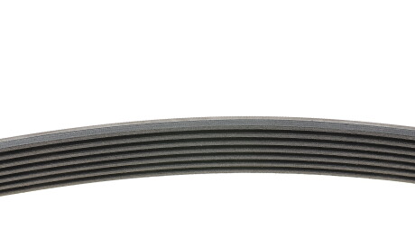 Фото 2 - Ремінь приводний Continental 7PK1642