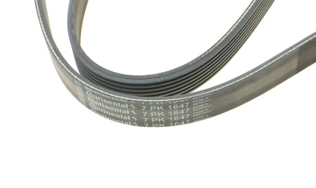 Фото 3 - Ремень приводной Continental 7PK1647