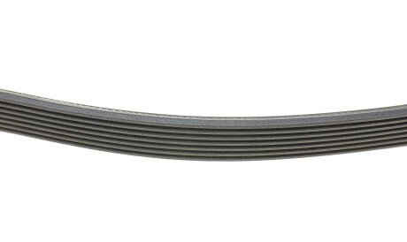 Фото 2 - Ремінь приводний Continental 7PK1675