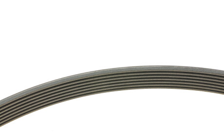 Фото 2 - Ремінь приводний Continental 7PK1801