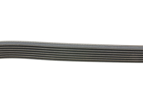 Фото 2 - Ремінь приводний Continental 7PK1920