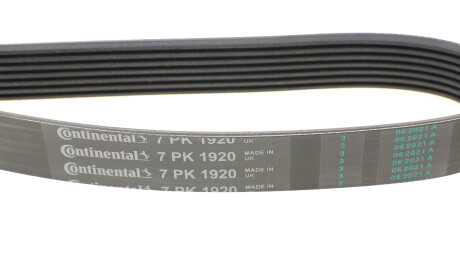 Фото 3 - Ремінь приводний Continental 7PK1920