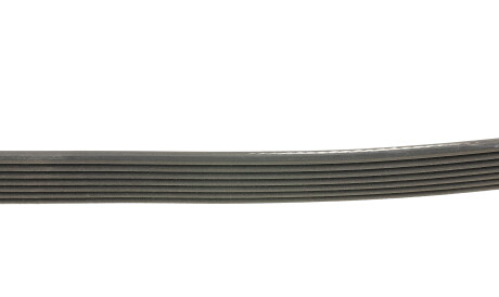 Фото 2 - Ремень приводной Continental 7PK2842