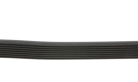 Фото 2 - Ремінь приводний Continental 8PK1226