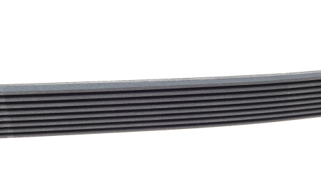 Фото 3 - Ремінь приводний Continental 8PK1230