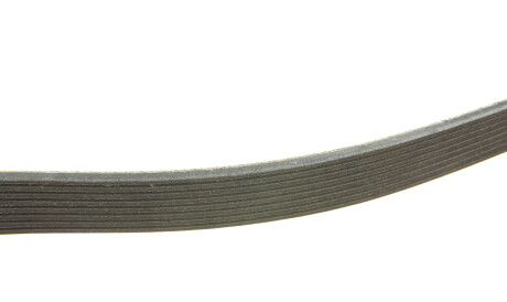 Фото 2 - Ремень приводной Continental 8PK1310 EXTRA (8PK1310EXTRA)