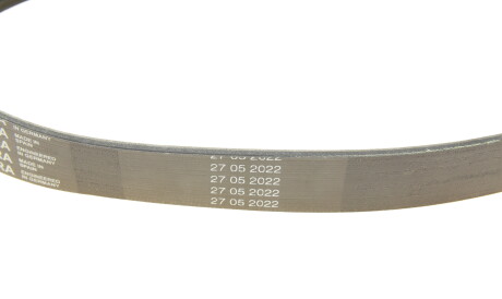 Фото 3 - Ремень приводной Continental 8PK1310 EXTRA (8PK1310EXTRA)