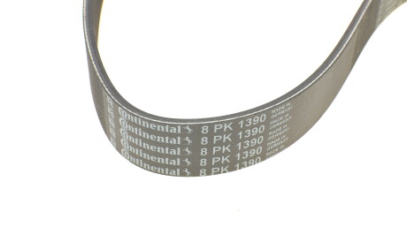 Фото 3 - Ремінь приводний Continental 8PK1390