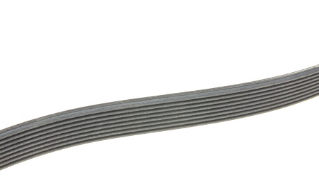 Фото 3 - Ремінь приводний Continental 8PK1395