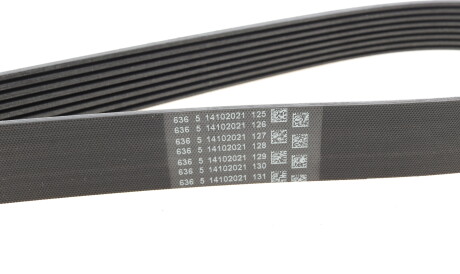 Фото 2 - Ремінь приводний Continental 8PK2092