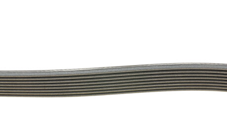 Фото 2 - Ремінь приводний Continental 8PK2290