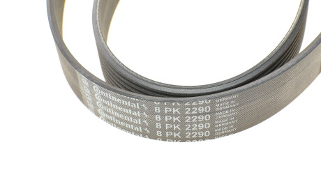 Фото 3 - Ремінь приводний Continental 8PK2290