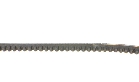 Фото 2 - Ремінь приводний Continental AVX10X1013