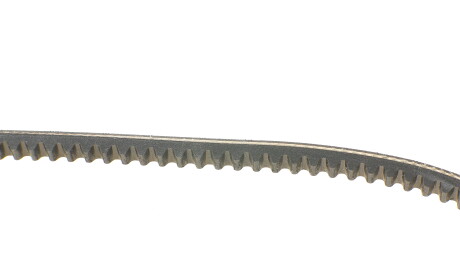 Фото 2 - Ремінь приводний Continental AVX10X800