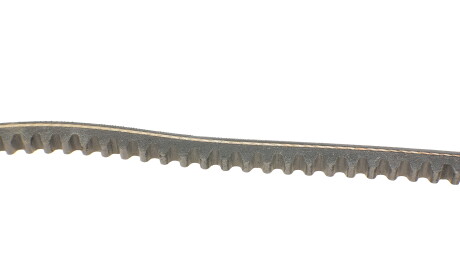 Фото 2 - Ремінь приводний Continental AVX10X813