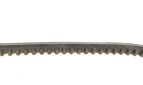 Фото 2 - Ремень приводной Continental AVX10X850